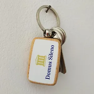  Appartamento Domus Sileno Italia